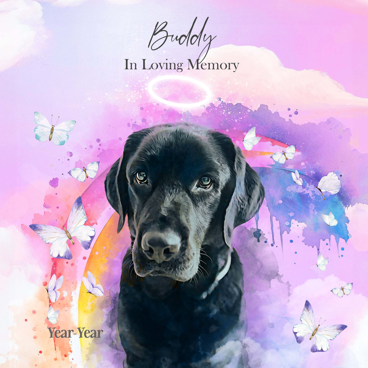 rb1_1200x1200.jpg?v=1711701710