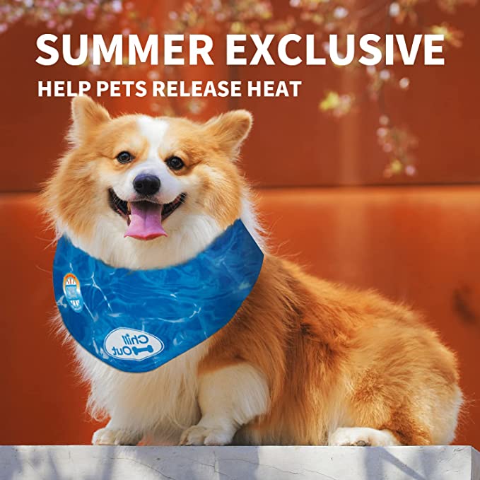 5 simple hacks to keep your dog cool in summer 2023