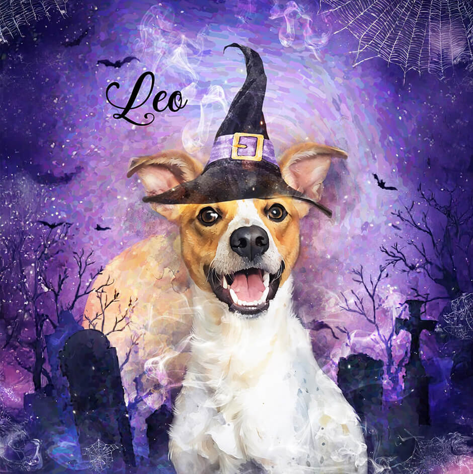Dog wearing a witch hat with a Halloween-themed background featuring bats and tombstones.