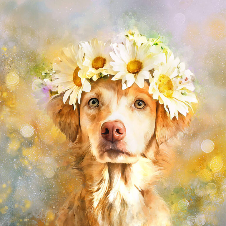 Dog wearing a flower crown with a soft, blurred background