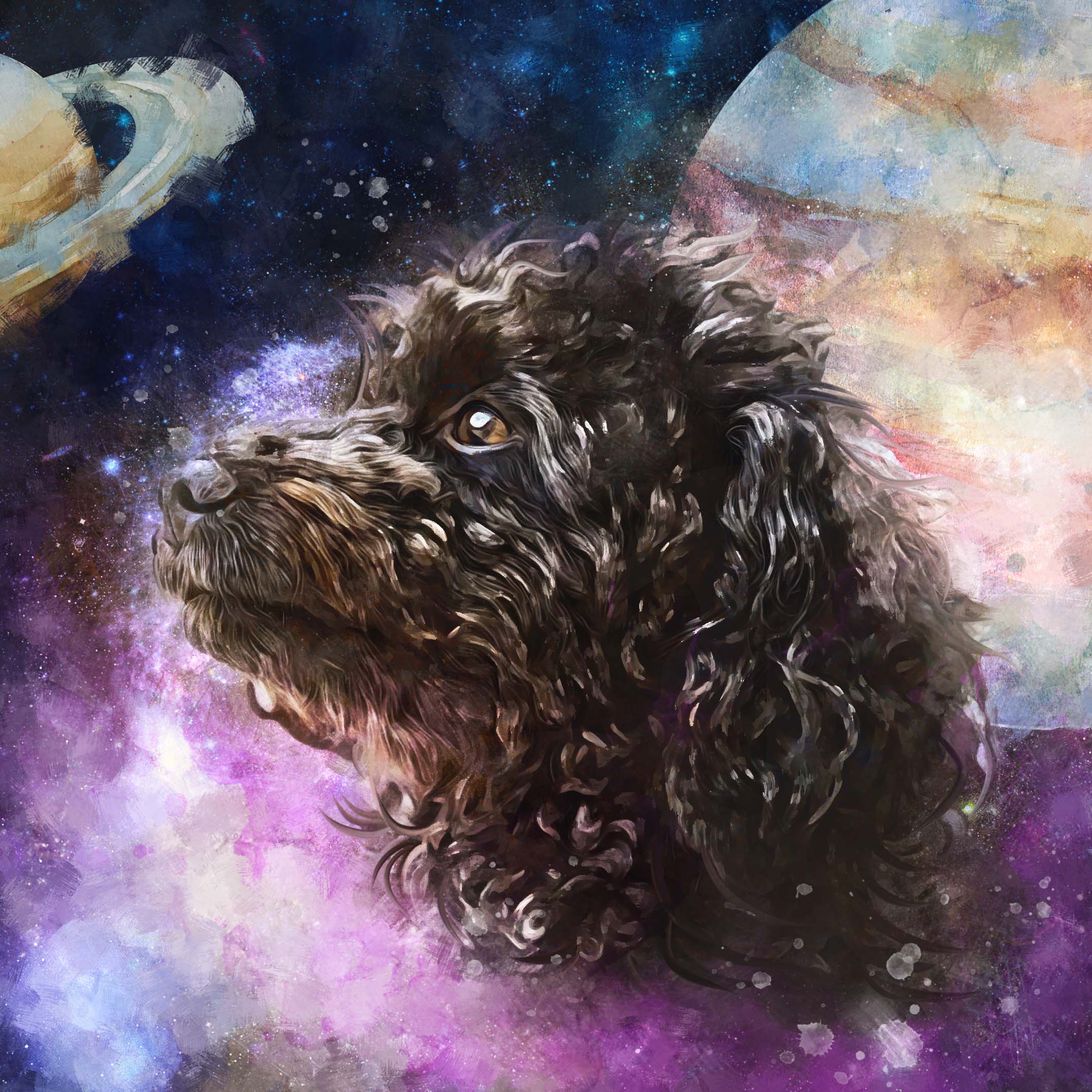 PAWSS - Watercolor pet portrait | Poodle dog art | Galaxy 